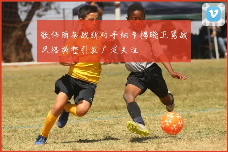 张伟丽备战新对手细节揭晓卫冕战风格调整引发广泛关注